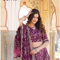 D.N. : 1666-A Crop Top - Oswal Navsari