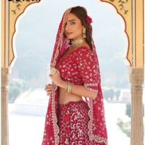D.N. : 1666-C Crop Top - Oswal Navsari
