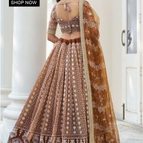 D.N. : 3343 Wedding Chaniya Choli - Oswal Navsari view 4