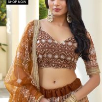 D.N. : 3343 Wedding Chaniya Choli - Oswal Navsari view 2