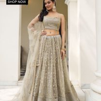 D.N. : 3344 Wedding Chaniya Choli - Oswal Navsari view 2