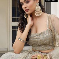 D.N. : 3344 Wedding Chaniya Choli - Oswal Navsari view 3
