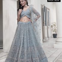 D.N. : 3346 Wedding Chaniya Choli - Oswal Navsari view 2