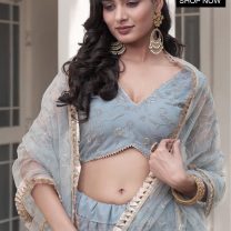D.N. : 3346 Wedding Chaniya Choli - Oswal Navsari view 3