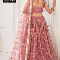 D.N. : 3354 Wedding Chaniya Choli - Oswal Navsari view 4