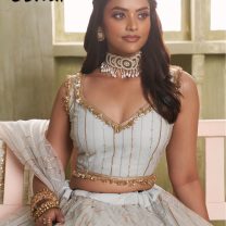 D.N. : 3440 Wedding Chaniya Choli - Oswal Navsari
