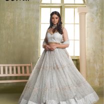 D.N. : 3440 Wedding Chaniya Choli - Oswal Navsari view 2