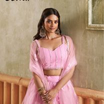 D.N. : 3441 Wedding Chaniya Choli - Oswal Navsari view 2