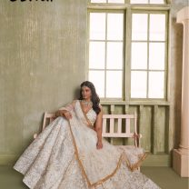 D.N. : 3442 Wedding Chaniya Choli - Oswal Navsari view 2
