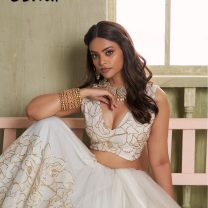 D.N. : 3442 Wedding Chaniya Choli - Oswal Navsari