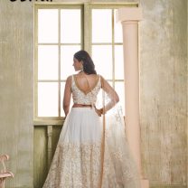 D.N. : 3442 Wedding Chaniya Choli - Oswal Navsari view 3