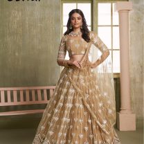 D.N. : 3443 Wedding Chaniya Choli - Oswal Navsari view 2