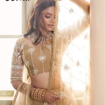 D.N. : 3443 Wedding Chaniya Choli - Oswal Navsari