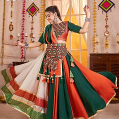 2017-2-shubhkala-4250