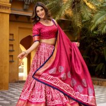 D.N. : 9025-B Navratri Chaniya Choli - Oswal Navsari